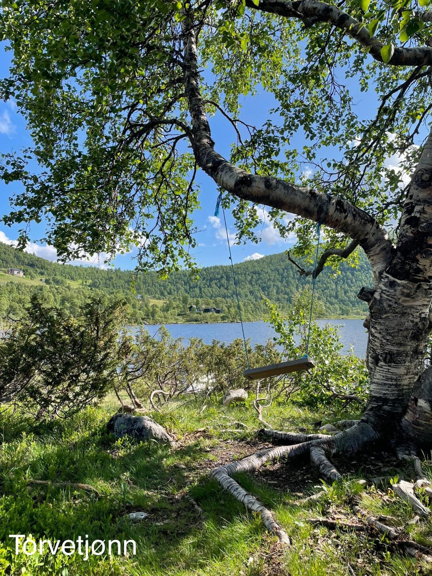 Вилла Hjemmekoselig Hytte Pa Rauland Экстерьер фото